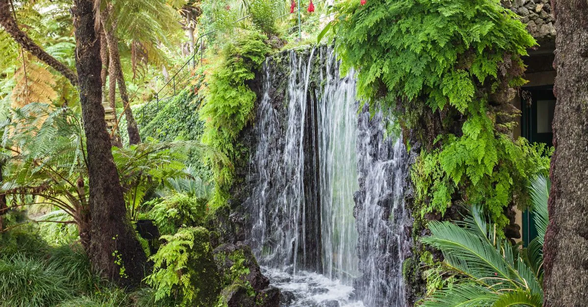 Waterfall Madeira, Portugal