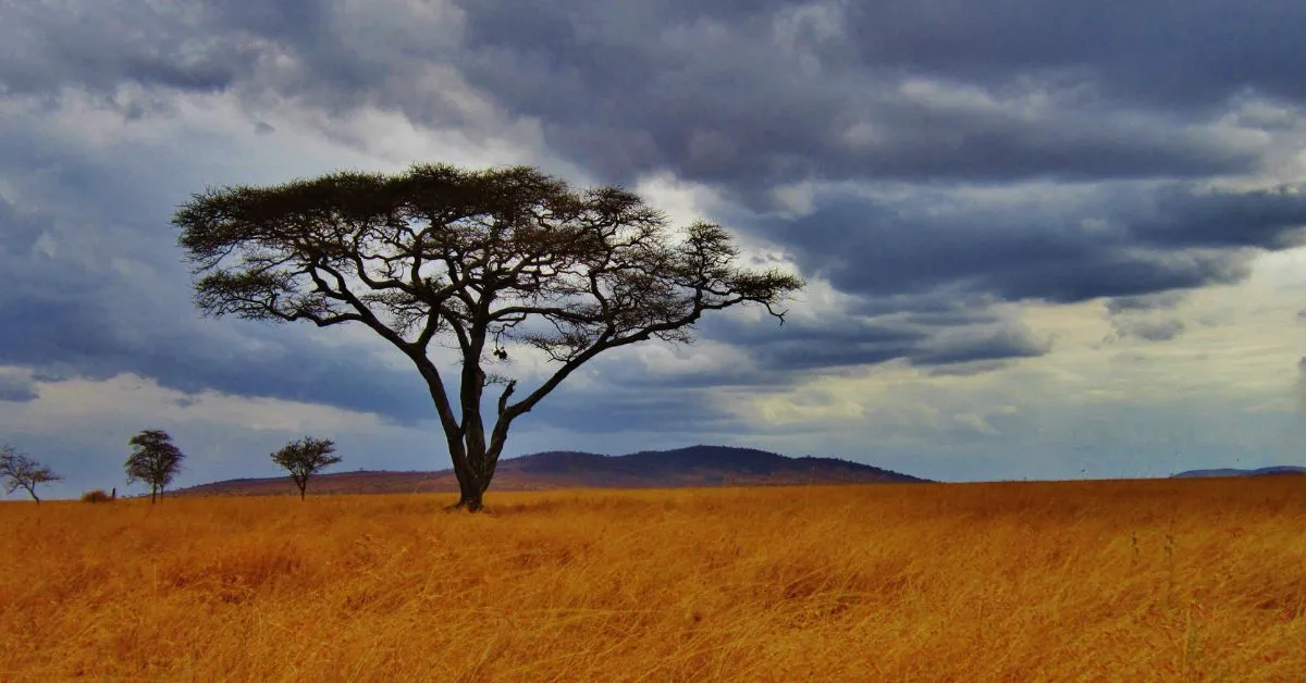 African country side