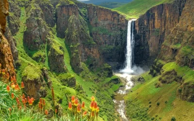 Lesotho SIM Cards: Everything You Need To Know