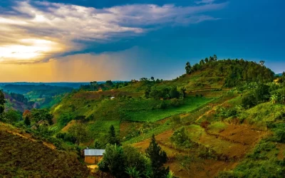 Rwanda SIM Cards: Everything You Need To Know