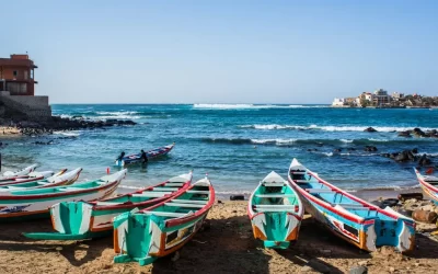 Senegal SIM Cards: Everything You Need To Know