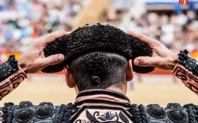 Ready For An Unforgettable Experience? Join The Fun Of Madrid Bullfighting!