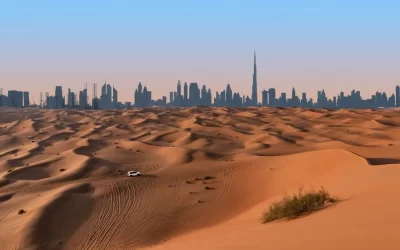 Dubai Desert Safari: What To Expect On A Desert Safari In Dubai