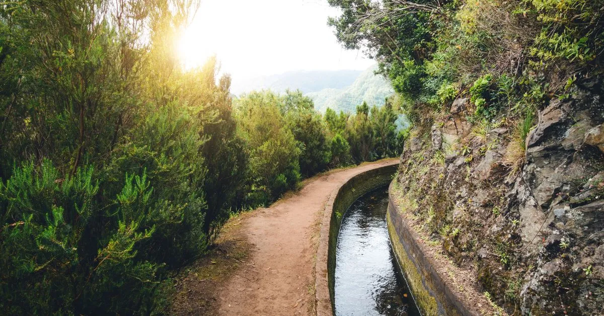 Levadas madeira